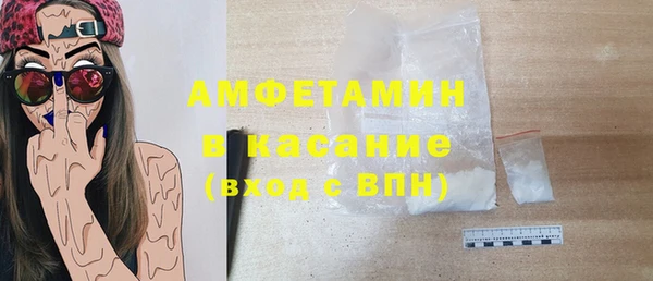 индика Богданович